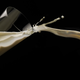 Illustration for article titled Got milk? Watch an Olympian swim a lap with a glass of milk balanced on her head